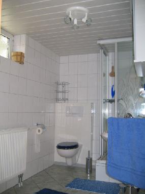 modernes Bad mit Dusche und Spiegelschrank