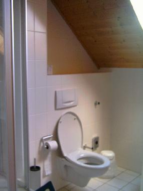 Ferienhaus in Hasselfelde (Harz) oder Ferienwohnung oder Ferienhaus