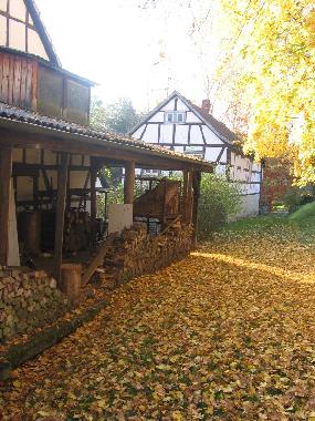 Goldener Herbstag in der Mhle.