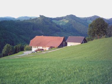 Ferienwohnung in Oberharmersbach (Schwarzwald) oder Ferienwohnung oder Ferienhaus