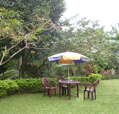 Garten mit schner Rasenflche und vielen Obstbumen