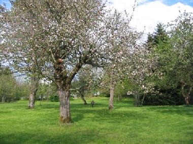 Ferienhaus in AMONDANS (Doubs) oder Ferienwohnung oder Ferienhaus
