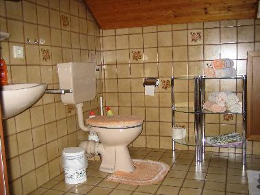 Bad mit Badewanne / Dusche / WC