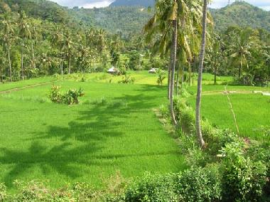 Ausblick von der Terrasse