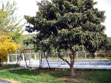 Ferienhaus in Iznajar (Crdoba) oder Ferienwohnung oder Ferienhaus