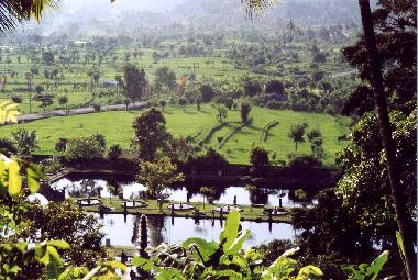Blick auf den Park  des Wasserpalastes