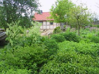 Fachwerkhaus in den H�ttener Bergen mitten im Bauerngarten