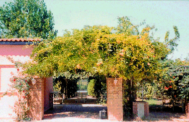 Ferienhaus in Gastoune (Ileia) oder Ferienwohnung oder Ferienhaus