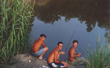 Natursee zum baden und angeln
