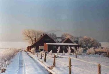 Feriehaus Deichblick im Winter