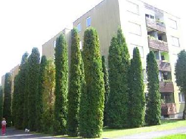 Ferienwohnung in H�v�z (Zala) oder Ferienwohnung oder Ferienhaus