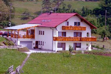 Ferienwohnung in Baiersbronn - Schwarzenberg (Schwarzwald) oder Ferienwohnung oder Ferienhaus