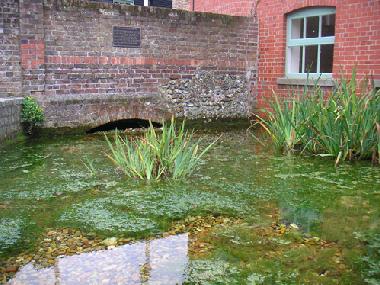 Ferienwohnung in Havant (Hampshire and Isle of Wight) oder Ferienwohnung oder Ferienhaus