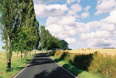 Zufahrt nach Trusetal (von  Meimers)