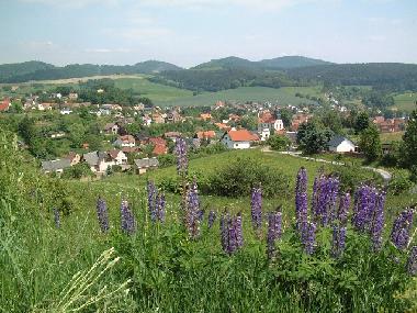 Trusetal- Panoramablick
