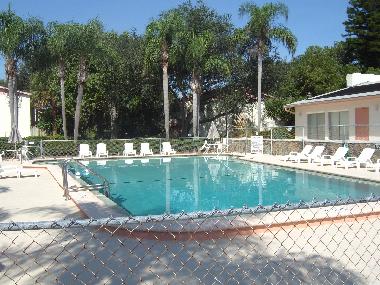 Ein schner neuer Pool im Palmengarten ld zum Schwimmen ein.