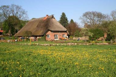 Die alte B�dnerei No. 7 in Pinnow von 1786