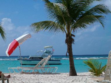 Ferienwohnung in Christ Church (Christ Church) oder Ferienwohnung oder Ferienhaus