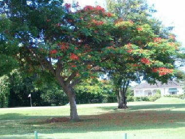Ferienwohnung in Christ Church (Christ Church) oder Ferienwohnung oder Ferienhaus