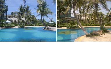 garden;swimming pool