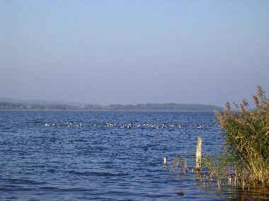 Boot in Dahmen (Mecklenburgische Seenplatte) oder Ferienwohnung oder Ferienhaus