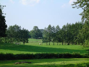 Endmorne - genieen Sie den Blick aus dem Fenster