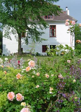 Im Frhjahr und Sommer blht es in Gerdshagen!