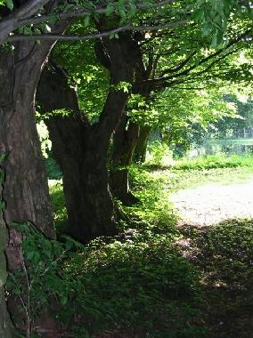 Park: Einblicke und Ausblicke...