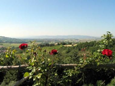 Panoramische Ansicht