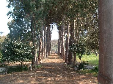 Schloss / Burg in Ostuni (Brindisi) oder Ferienwohnung oder Ferienhaus