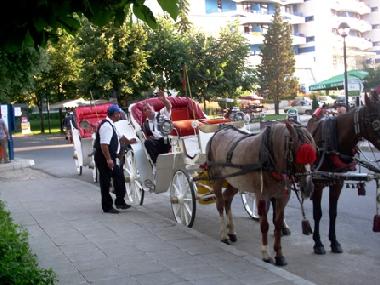 Ferienwohnung in Sunny Beach (Burgas) oder Ferienwohnung oder Ferienhaus