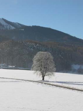 Ausblick im Winter