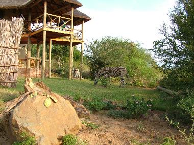 Ferienhaus in Marloth Park (Mpumalanga) oder Ferienwohnung oder Ferienhaus