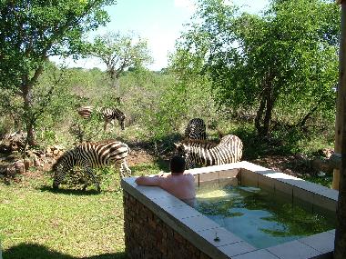 Ferienhaus in Marloth Park (Mpumalanga) oder Ferienwohnung oder Ferienhaus