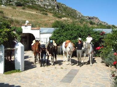 Fertig zum Ausritt - direkt vom Hof ins Naturschutzgebiet