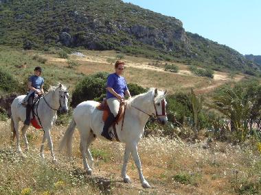 Im Naturschutzgebiet