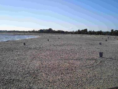 Strand Ijsselmeer direkte Nhe zum Bungalow