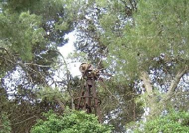 Ferienhaus in marseillan (H�rault) oder Ferienwohnung oder Ferienhaus