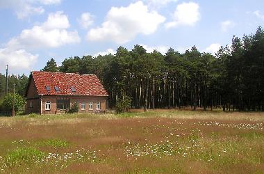 Ferienhaus in Hohenwoos (Mecklenburg-Schwerin) oder Ferienwohnung oder Ferienhaus