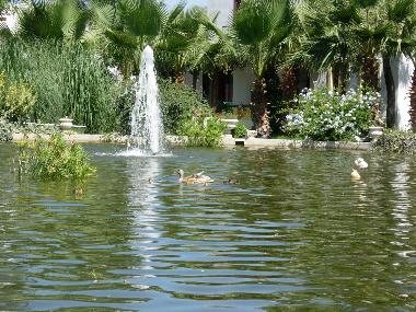 Ferienhaus in Turgutreis (Mugla) oder Ferienwohnung oder Ferienhaus