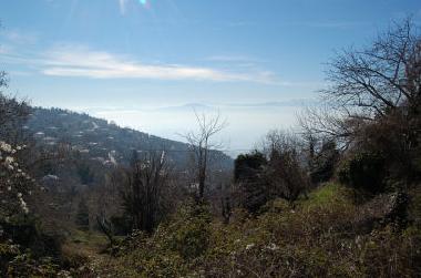 Ferienhaus in Agios Georgios Nilias (Magnisia) oder Ferienwohnung oder Ferienhaus