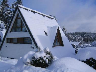 Winterimpressionen