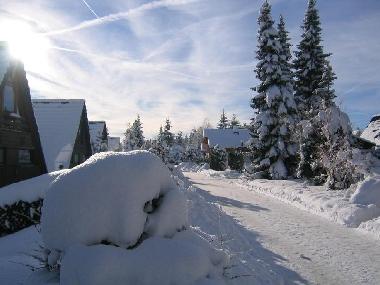 Winterimpressionen
