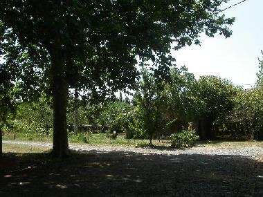 Obstgarten