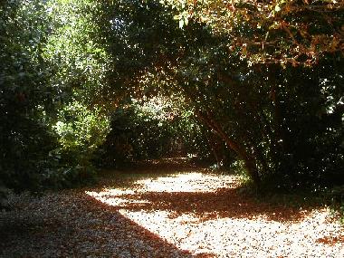 Pension in Laurabuc (Aude) oder Ferienwohnung oder Ferienhaus
