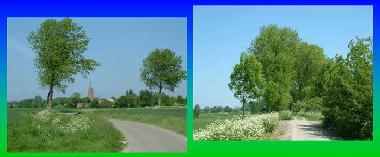 Chalet in Baarland (Zeeland) oder Ferienwohnung oder Ferienhaus