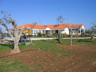 Ferienhaus in Cabe�o de Vide (Alto Alentejo) oder Ferienwohnung oder Ferienhaus