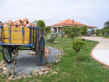 Ferienhaus in Cabe�o de Vide (Alto Alentejo) oder Ferienwohnung oder Ferienhaus