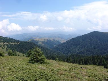 Pension in Brzece (Srbija (Serbia)) oder Ferienwohnung oder Ferienhaus