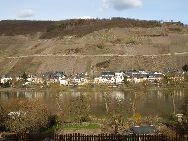 vom Balkon o. Wohnzi. haben Sie einen Bick auf Weinberge u.Mosel